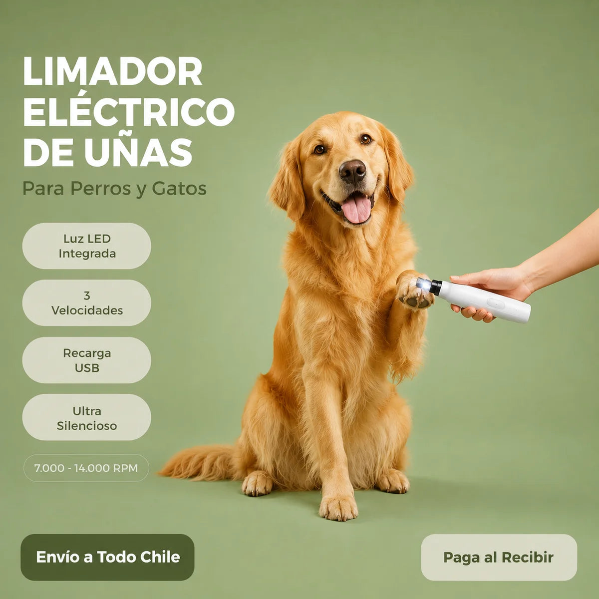 Limador Eléctrico para Perros y Gatos con Luz LED